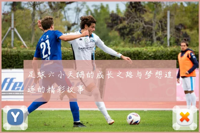足球六小天鹅的成长之路与梦想追逐的精彩故事
