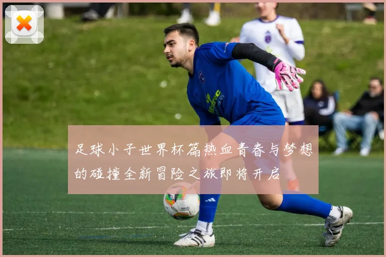 足球小子世界杯篇热血青春与梦想的碰撞全新冒险之旅即将开启