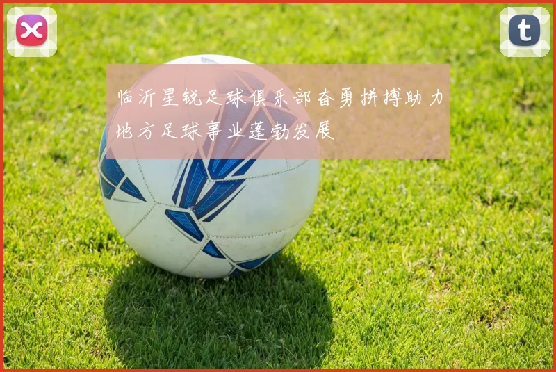 临沂星锐足球俱乐部奋勇拼搏助力地方足球事业蓬勃发展