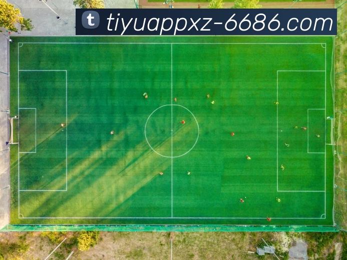 最新平台发展历程